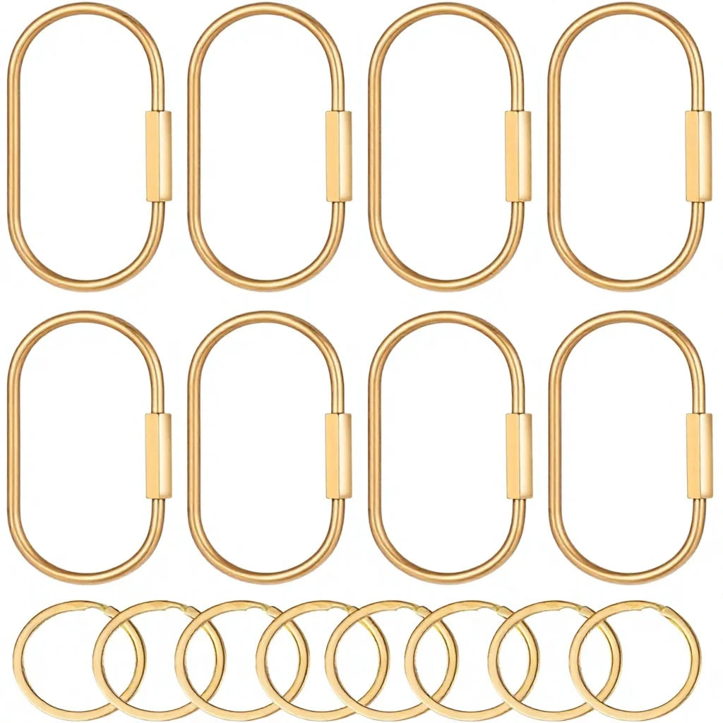 Yolev Silver Locking Carabiner Keychain With Screw Lock Universal