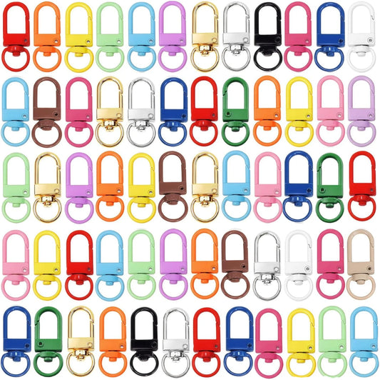 Bulk 60pcs Colorful Art Deco Metal Carabiner Keychain Clasps With